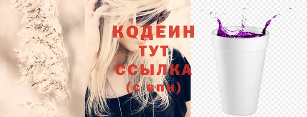 дмт Вяземский