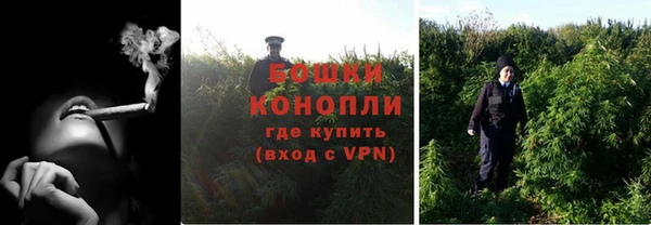 не бодяженный Гусев