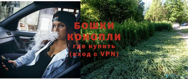 гашик Вязники