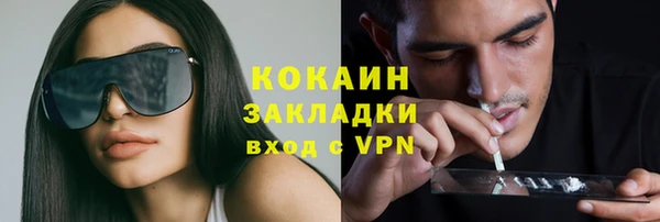 дмт Вяземский