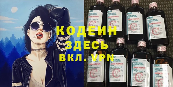 дмт Вяземский