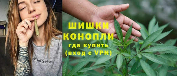 дмт Вяземский