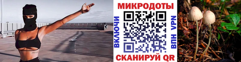 Галлюциногенные грибы MAGIC MUSHROOMS  Купить закладки  Облучье 