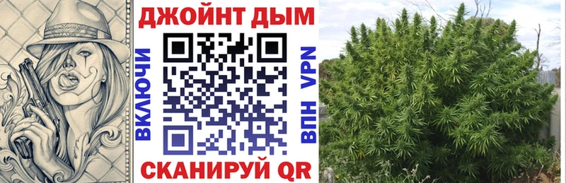 Бошки Шишки конопля  Купить закладки  Облучье 